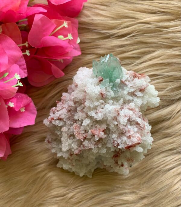Sugar Apophyllite