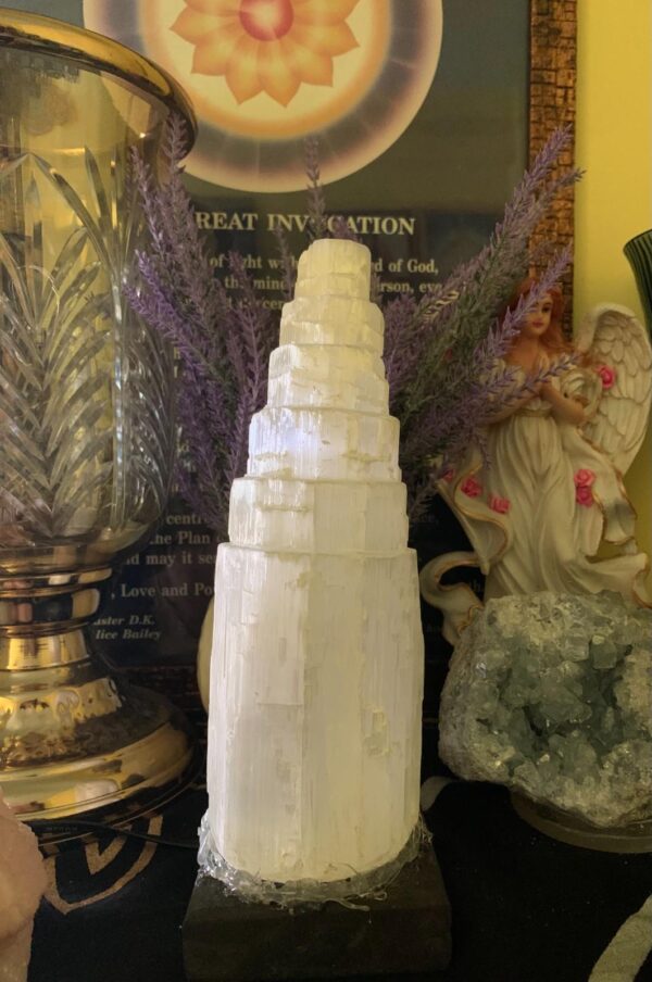 Rough selenite lamp