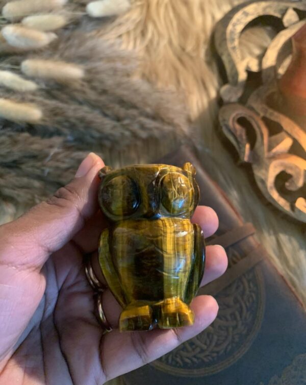 Owl Tiger eye - Image 2