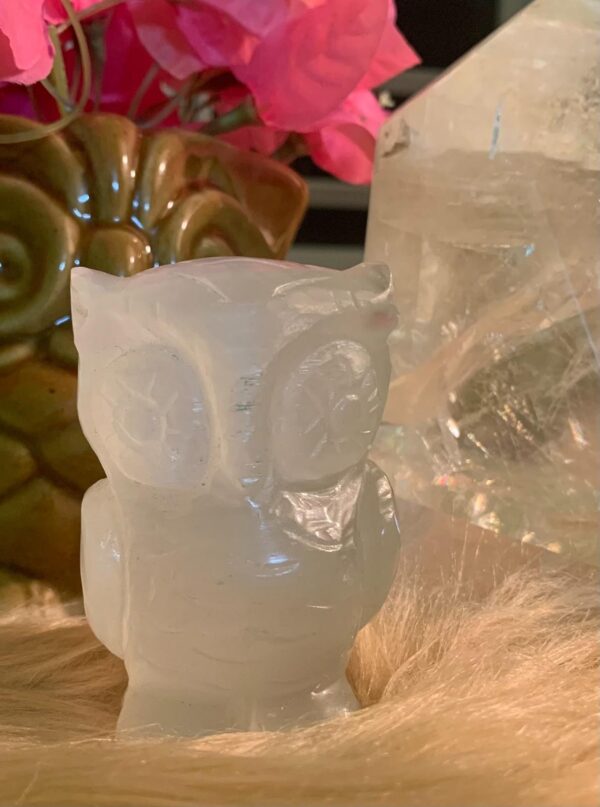 Owl Selenite