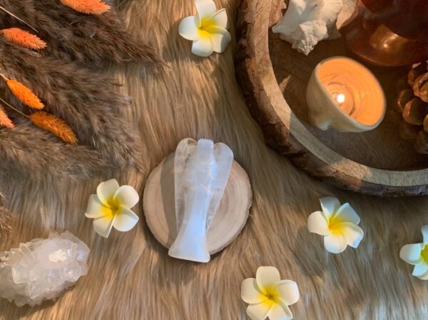 Selenite closed wings