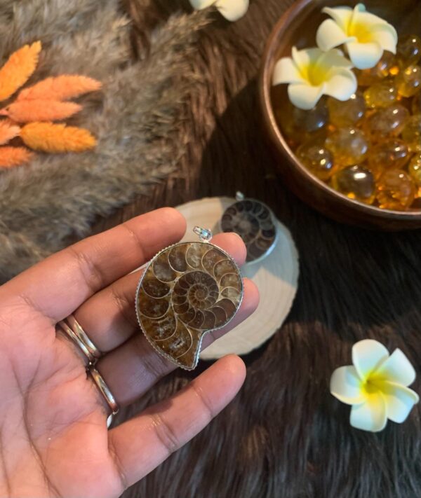 Ammonite pendants - Image 2